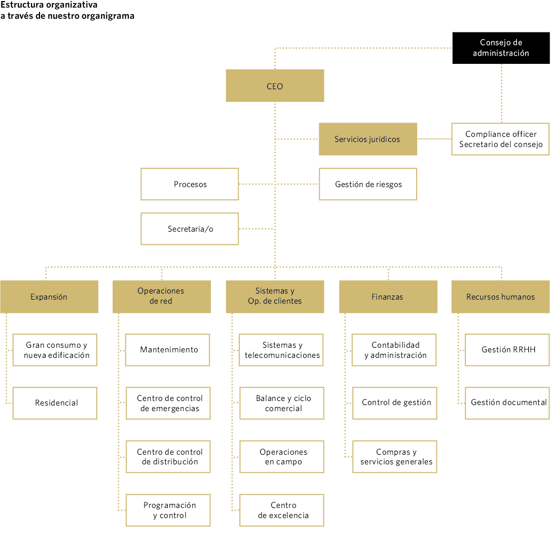 Estructura organizativa a través de nuestro organigrama