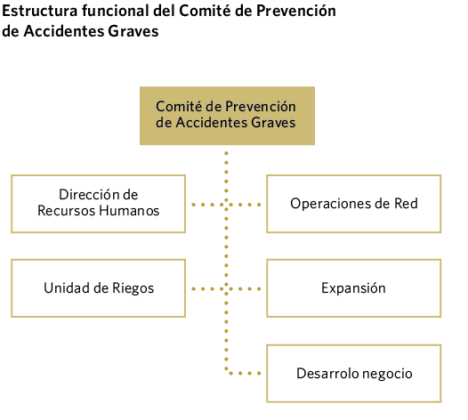 Estructura funcional del Comité de Prevención de Accidentes Graves